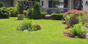 Landscaping-Around-a-Septic-System